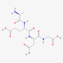 epithalon 10mg epithalon 10mg